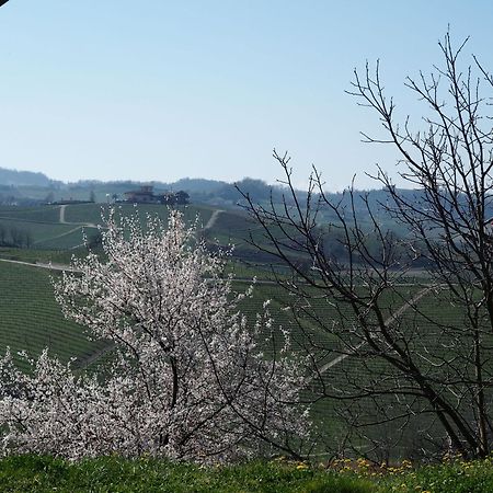 Tenuta Montanello B&B Castiglione Falletto Exterior foto