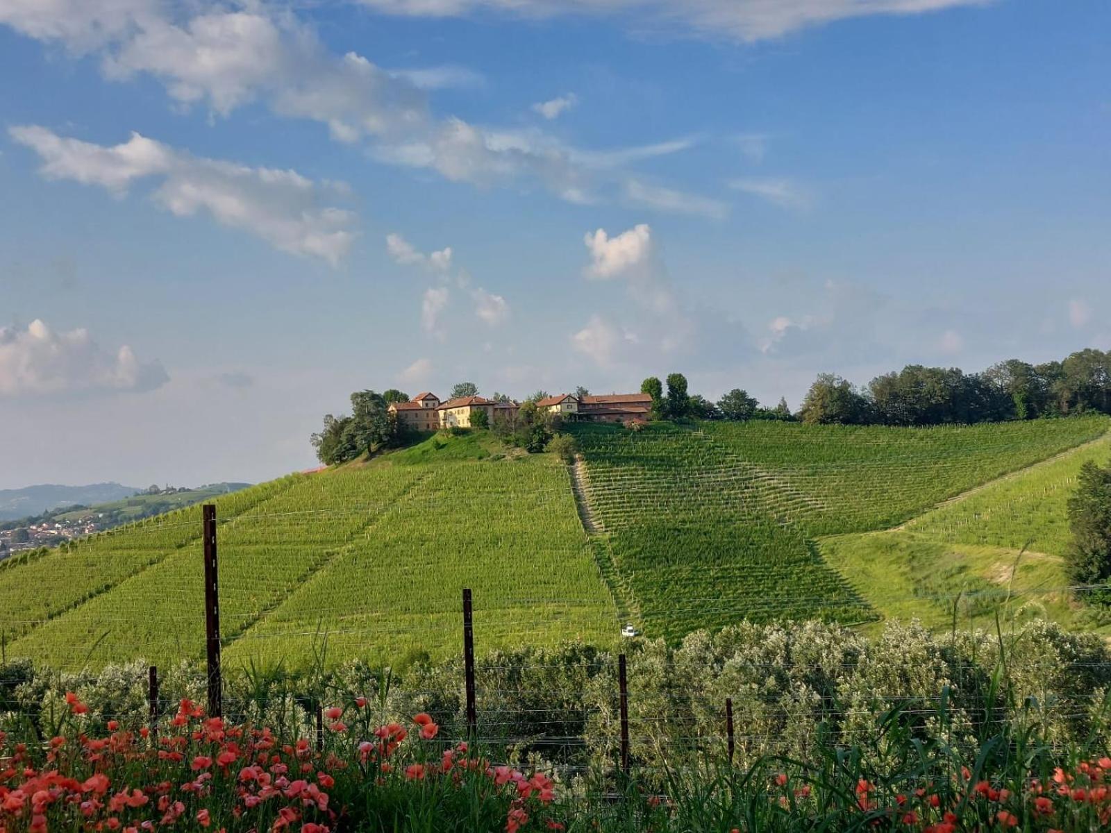 Tenuta Montanello B&B Castiglione Falletto Exterior foto