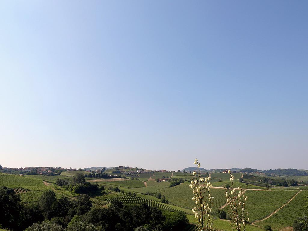 Tenuta Montanello B&B Castiglione Falletto Exterior foto