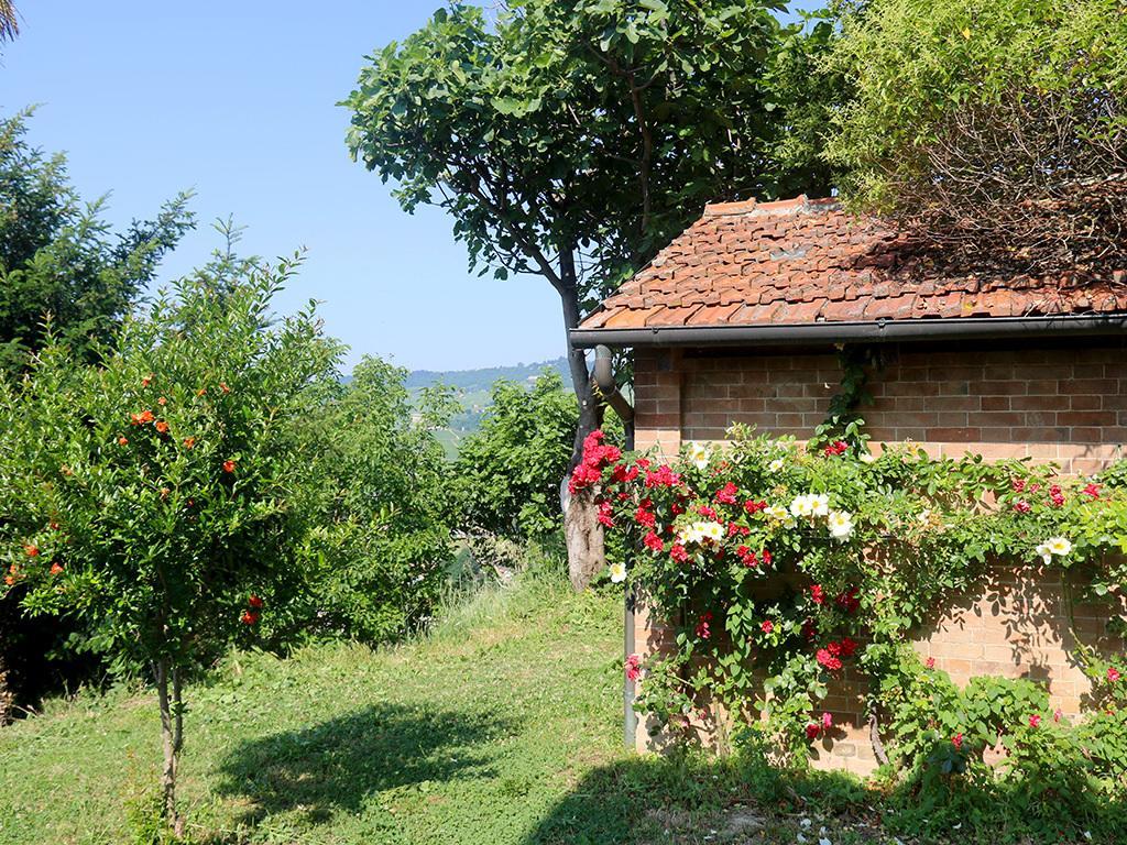 Tenuta Montanello B&B Castiglione Falletto Exterior foto