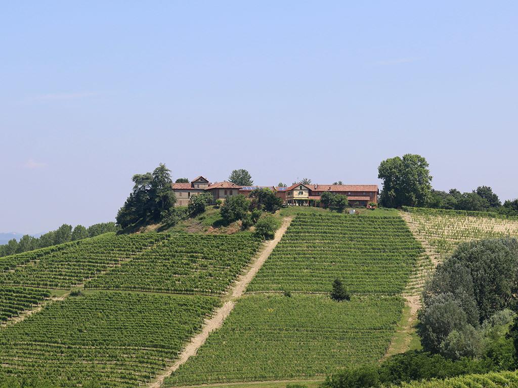 Tenuta Montanello B&B Castiglione Falletto Exterior foto