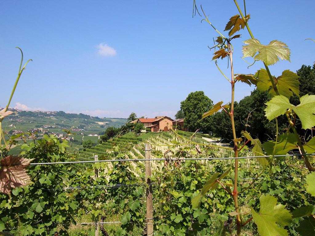 Tenuta Montanello B&B Castiglione Falletto Exterior foto