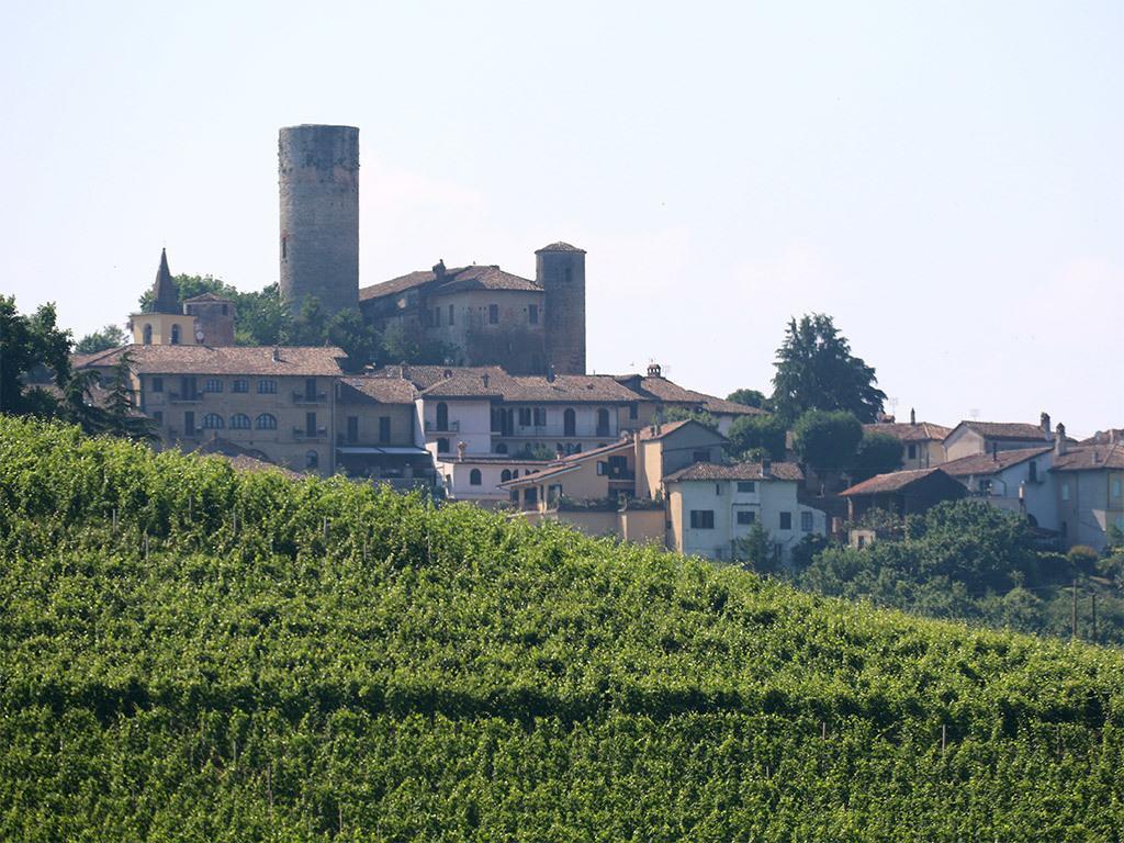 Tenuta Montanello B&B Castiglione Falletto Exterior foto