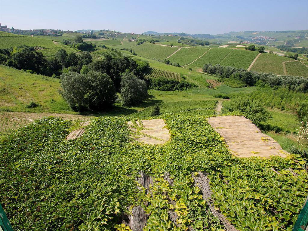 Tenuta Montanello B&B Castiglione Falletto Exterior foto