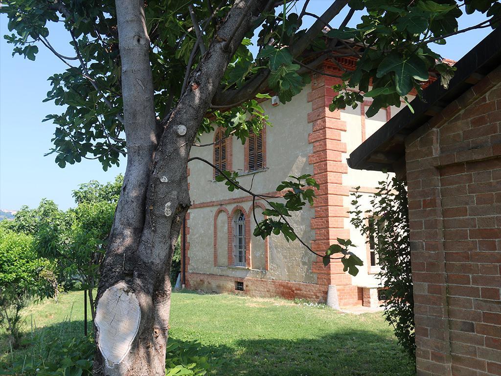 Tenuta Montanello B&B Castiglione Falletto Exterior foto