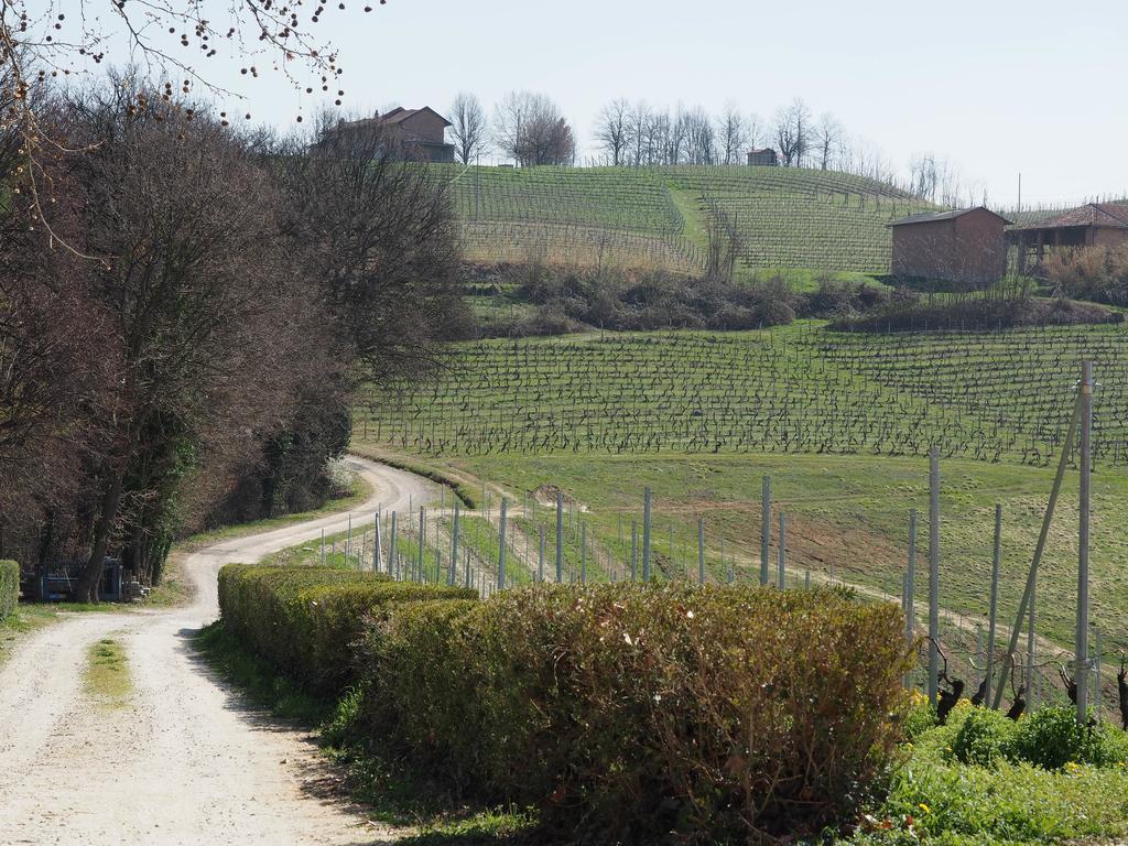 Tenuta Montanello B&B Castiglione Falletto Exterior foto